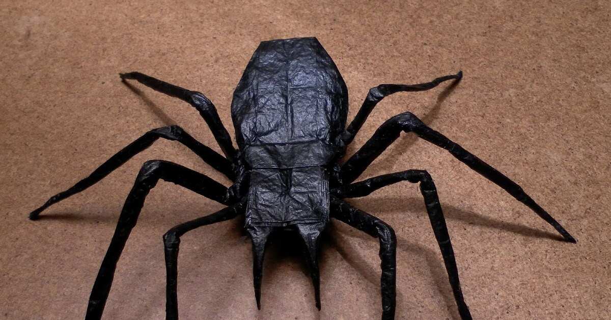 The Biblical Meaning of Black Widow Spider