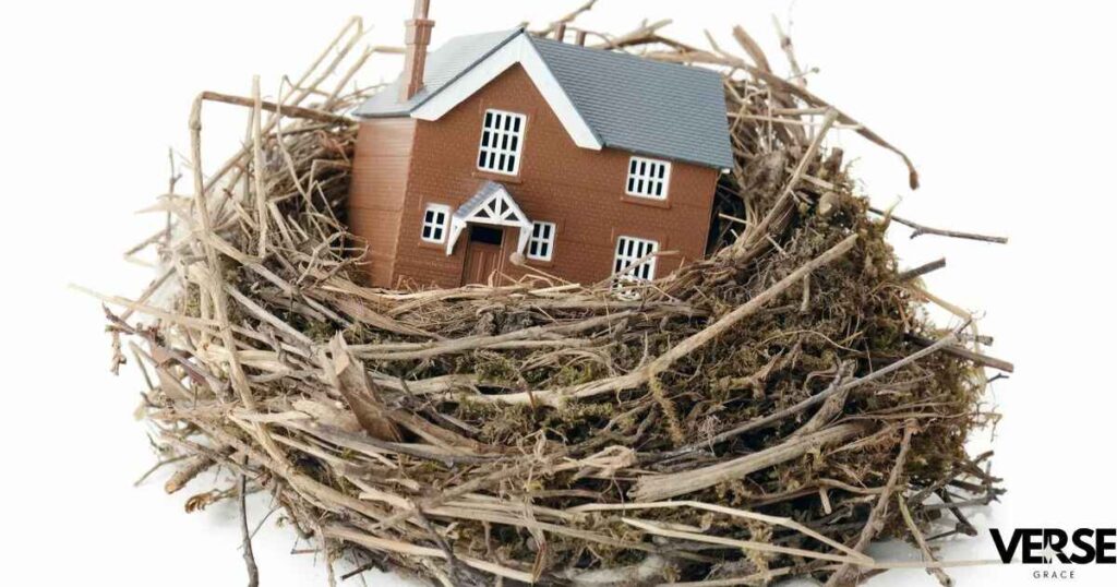 Nest  Building Our Spiritual Home