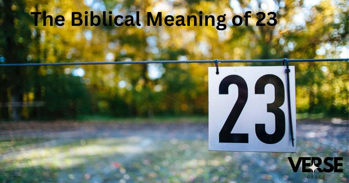 The Biblical Meaning of 23