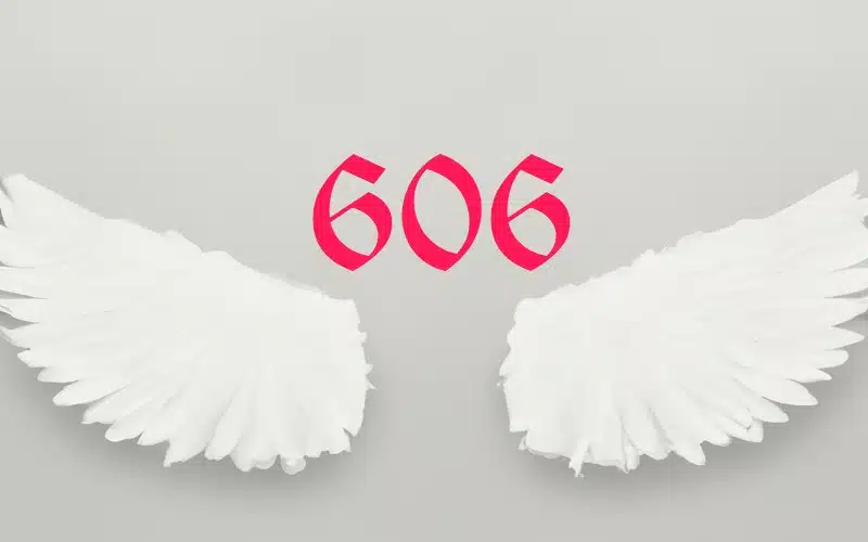 the biblical meaning of 606