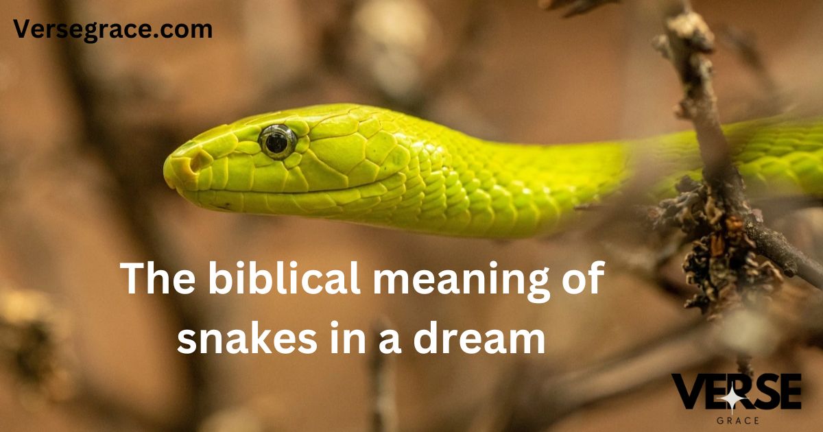 The biblical meaning of snakes in a dream