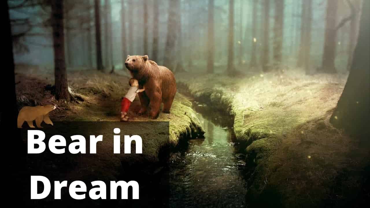 Spiritual Meaning Of Brown Bears In Dreams