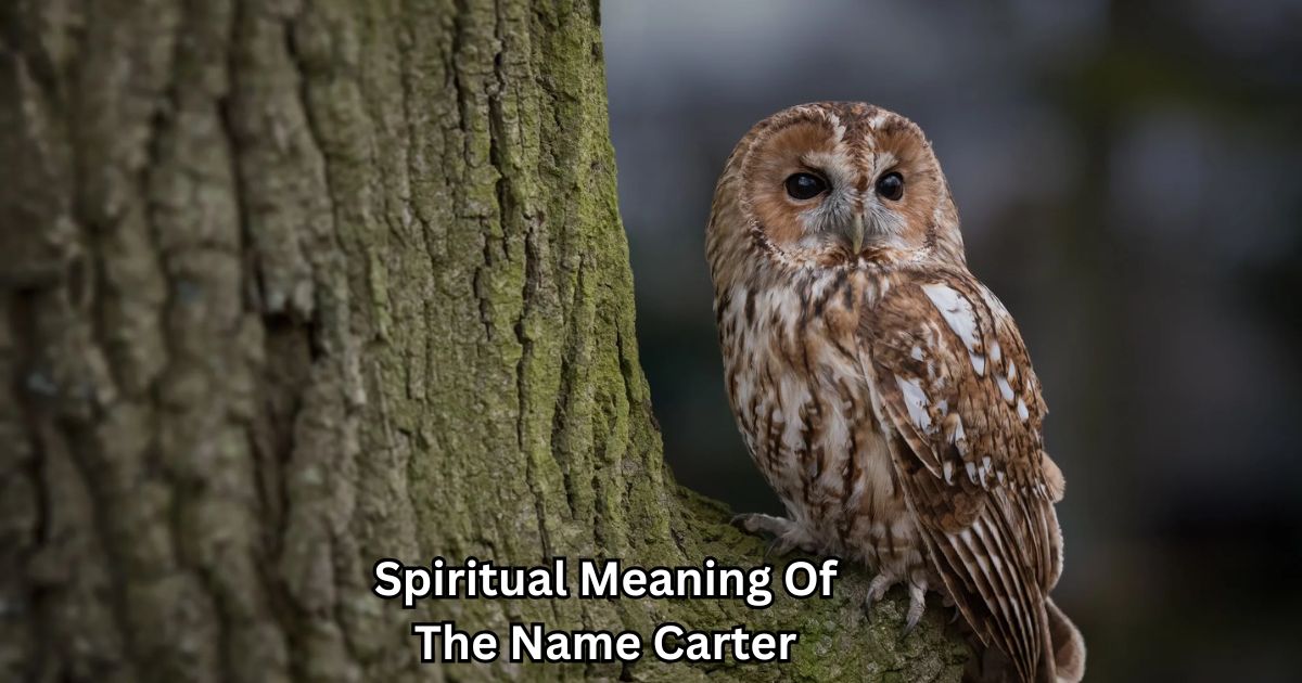 Spiritual Meaning Of The Name Carter