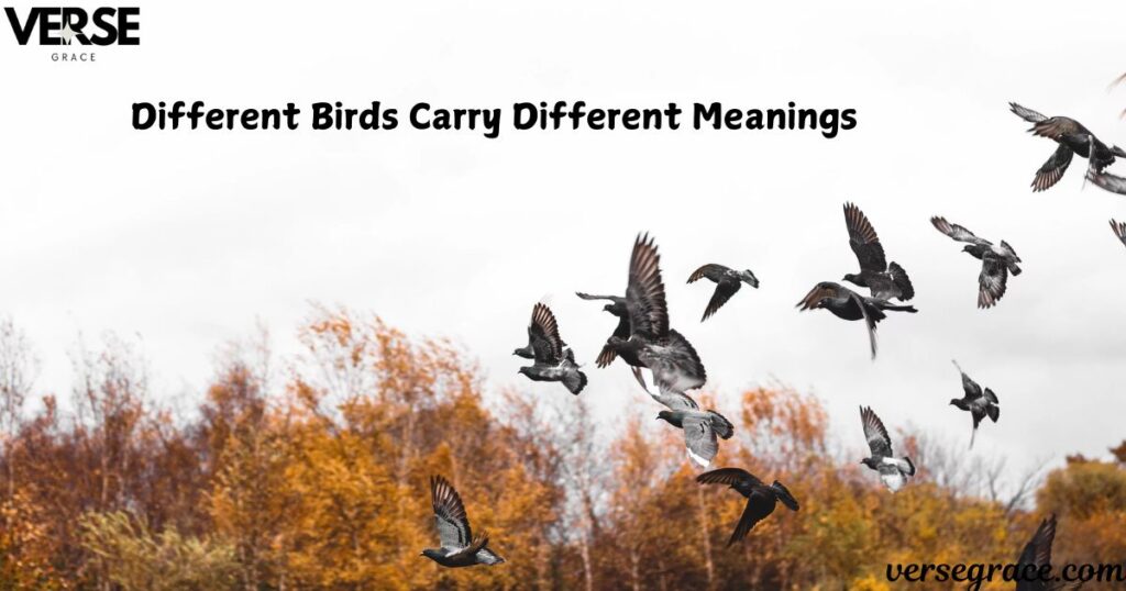 Different Birds Carry Different Meanings