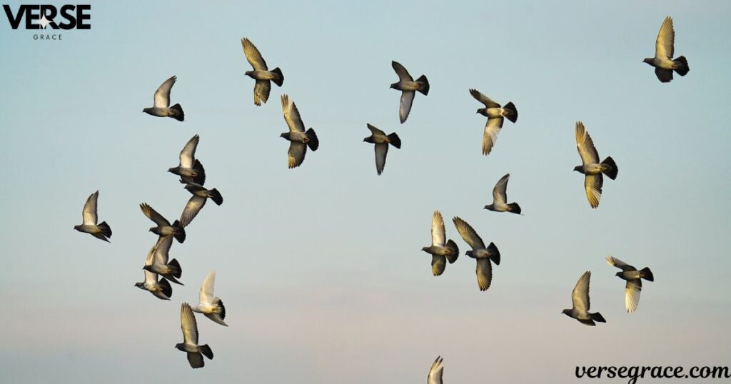 Flock Formations Have Meaning