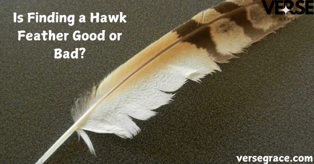 Is Finding a Hawk Feather Good or Bad?