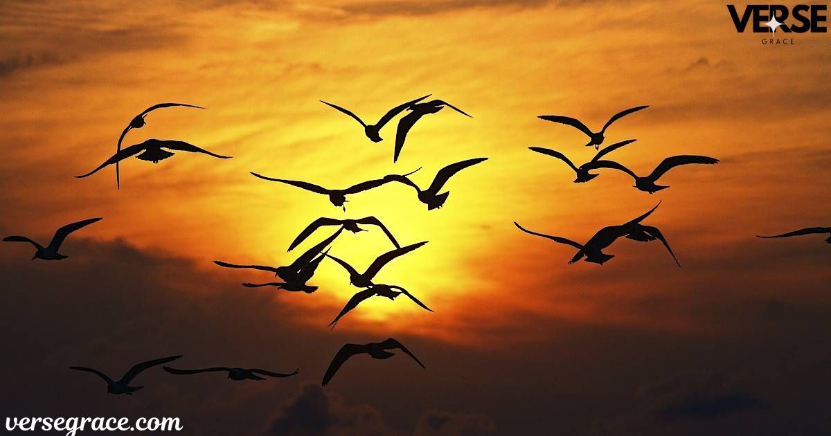 Spiritual Meaning of a Flock of Birds