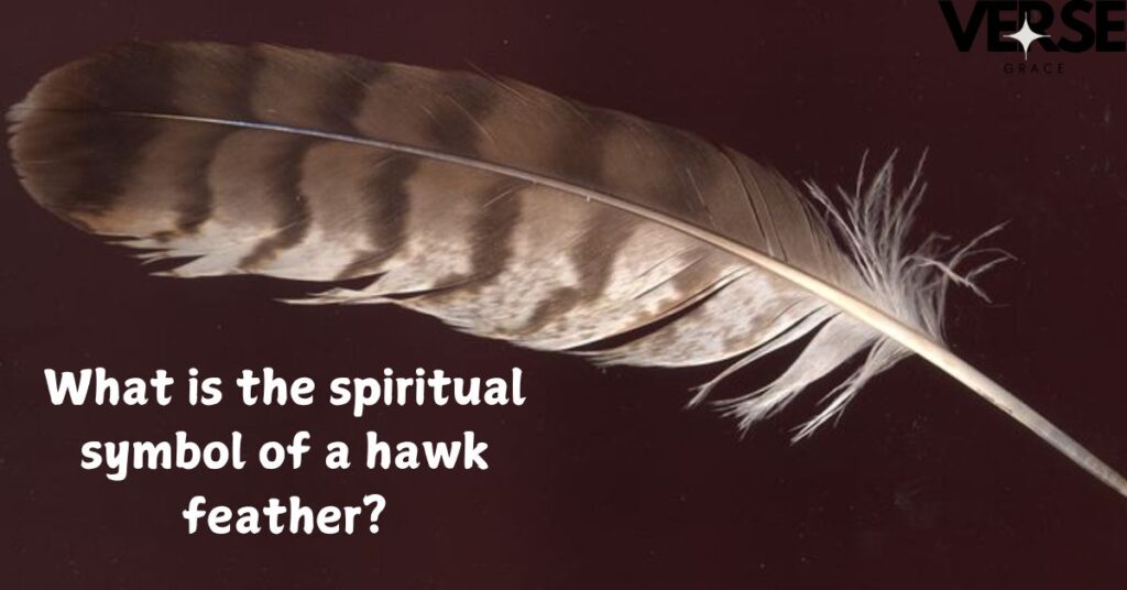 What is the spiritual symbol of a hawk feather?