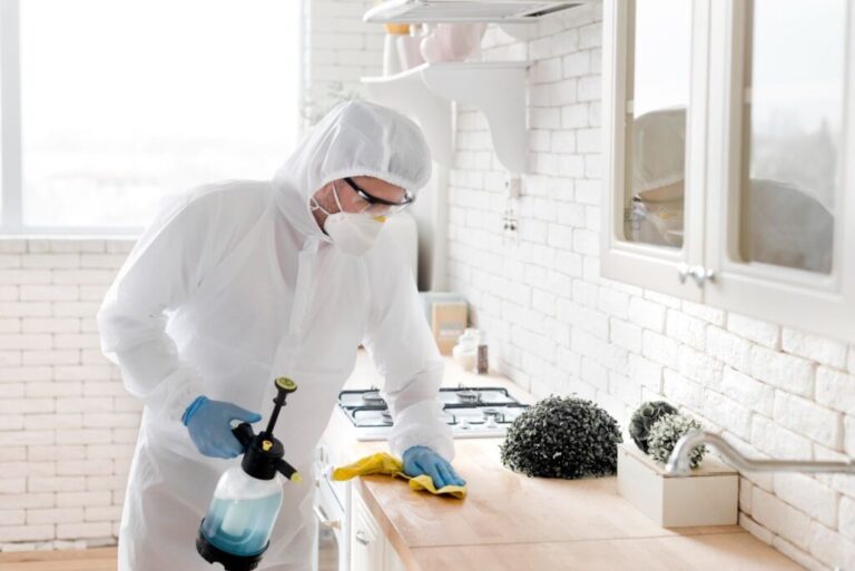 Why Regular Home Pest Inspections Save Money in the Long Run Regular Home Pest Inspections